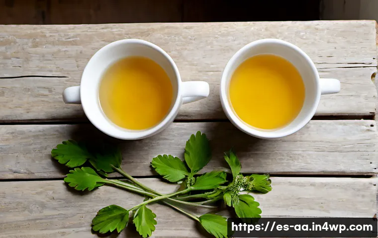 Infusiones para dormir: cómo comparar manzanilla, valeriana y otras opciones según tu rutina 3 수면 보조를 위한 차 종류 분석 관련 이미지 1